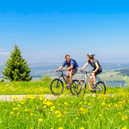 Zwei Mountainbiker auf einer Blumenwiese im Allgäu mit gelben Wildblumen, mit Blick auf einen See und hügelige Landschaft unter blauem Himmel.