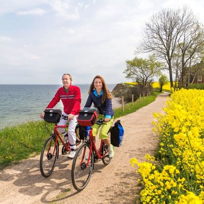 Zwei Radfahrer auf einem Schotterweg zwischen der Ostsee und leuchtend gelben Rapsfeldern, mit Bäumen und blauem Himmel im Hintergrund.