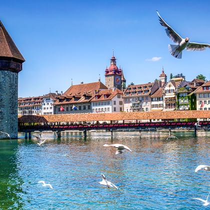 Historische Kapellbrücke mit achteckigem Wasserturm über der Reuss in Luzern. Möwen fliegen über dem Wasser, Altstadtgebäude im Hintergrund.