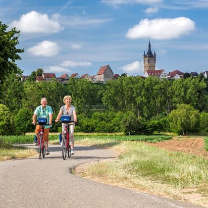 Two cyclists on a paved path with Bad Wimpfen's historic skyline in the background, featuring church towers and medieval buildings above green trees.