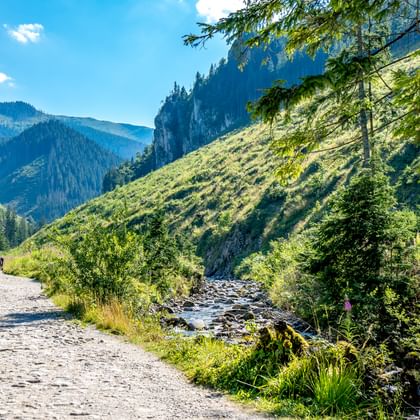 Geschotterter Radweg entlang des Dunajec-Flusses in Polen, mit bewaldeten Bergen und Felsklippen unter blauem Himmel.