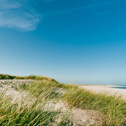 Rot-weiß gestreifter Leuchtturm List Ost auf grasbewachsenen Dünen mit Sandstrand und blauem Meer unter klarem Himmel auf Sylt.