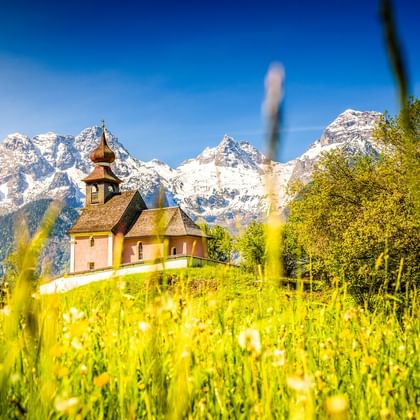 Antonius-Kapelle in Au umgeben von einer blühenden Wiese mit schneebedeckten Bergen und blauem Himmel im Hintergrund.