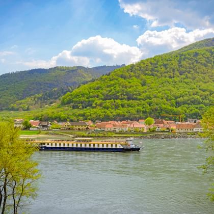 MS Prinzessin Katharina fährt auf der Donau mit grünen Hügeln, einem Dorf und Frühlingsbäumen im Vordergrund.