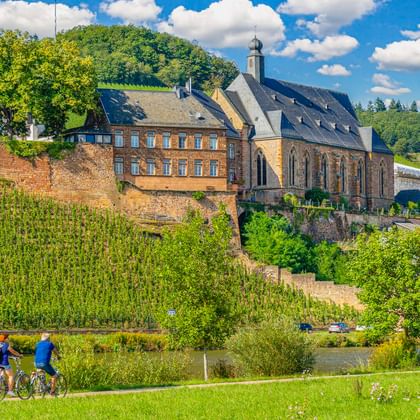 Zwei Radfahrer auf Weg entlang der Saar mit St. Laurentius Kirche am Hang in Saarburg, umgeben von Weinbergen und grünen Hügeln unter blauem Himmel.