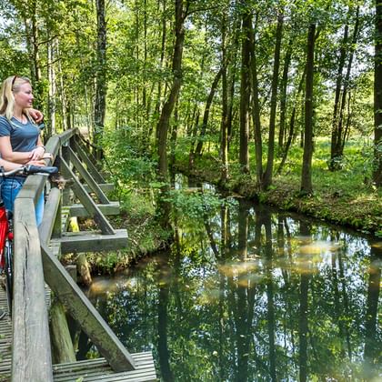 Zwei Radfahrer mit roten Fahrrädern stehen auf einer Holzbrücke über einem ruhigen Waldbach im Spreewald, umgeben von grünen Bäumen.