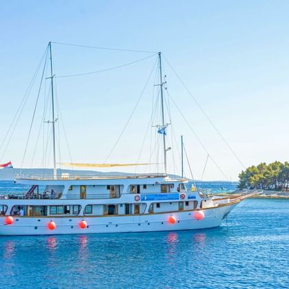 Weißes Passagierschiff Amore mit zwei Masten und roten Fendern in ruhigem blauen Wasser. Bewaldete Küste im Hintergrund unter klarem Himmel.