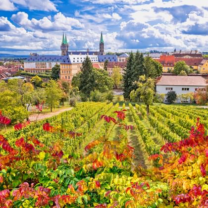 Bunter Herbstweinberg im Vordergrund mit Bambergs historischer Altstadt und Domtürmen unter blauem Himmel mit weißen Wolken.