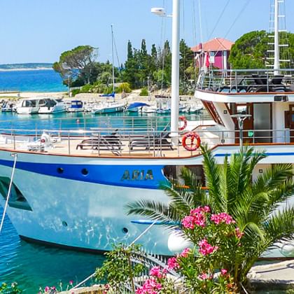 Weiß-blaues Passagierschiff in einem Mittelmeerhafen mit türkisfarbenem Wasser, umgeben von üppigem Grün, Palmen und rosa Blumen.