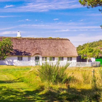 White thatched-roof house with green doors on Rømø Island, surrounded by green lawn and tall grass under a blue sky with light clouds.