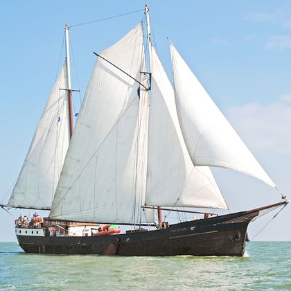 Traditionelles niederländisches Segelschiff mit dunklem Holzrumpf und weißen Segeln auf ruhigem Wasser unter blauem Himmel.