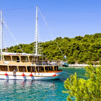 MS Dalmatino, ein hölzerner Motorsegler mit zwei Masten, ankert in einer türkisfarbenen Bucht umgeben von grünen Pinien und bewaldeter Küste.