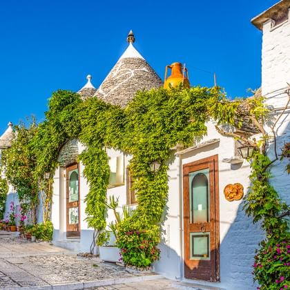 Reihe weißer Trulli-Häuser mit konischen Steindächern in Alberobello, geschmückt mit grünen Ranken und bunten Blumen unter blauem Himmel.