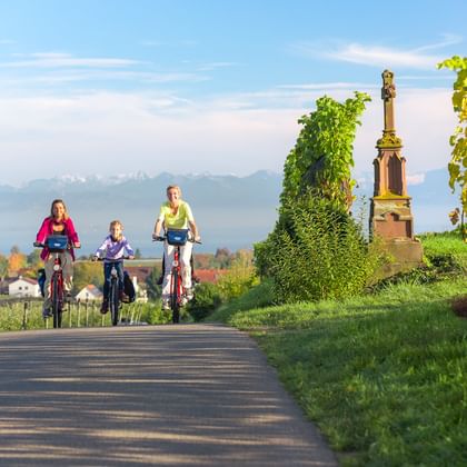 Drei Radfahrerinnen fahren durch Weinberge bei Hagnau am Bodensee. Ein steinernes Denkmal und Berge sind im Hintergrund sichtbar.