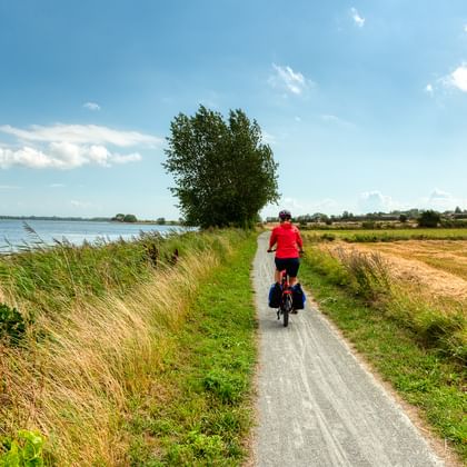 Radfahrer in roter Jacke auf asphaltiertem Weg zwischen Küstengewässer und abgeernteten Feldern unter blauem Himmel in Fünen, Dänemark.