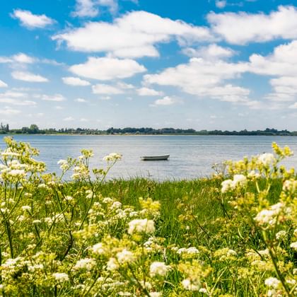 Weiße Wildblumen im Vordergrund mit ruhigem Wasser und kleinem Boot im Hintergrund unter blauem Himmel mit weißen Wolken auf Fünen, Dänemark.