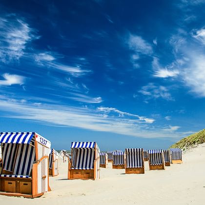 Reihe blau-weiß gestreifter Strandkörbe am Sandstrand mit Dünen unter blauem Himmel auf den Ostfriesischen Inseln.