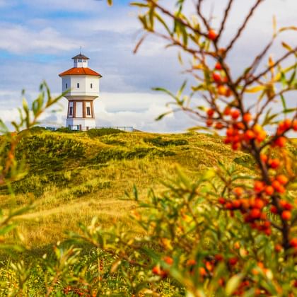 Historischer Wasserturm auf Langeoog auf einer grasbewachsenen Düne, eingerahmt von Sanddornzweigen mit orangen Beeren unter blauem Himmel mit Wolken.