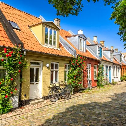 Kopfsteinpflasterstraße Møllestien in Aarhus mit bunten Häusern mit orangefarbenen Ziegeldächern. Fahrräder und Kletterrosen schmücken die Fassaden.