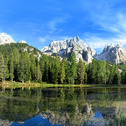 Klarer Bergsee spiegelt dramatische Dolomitengipfel und dichten Nadelwald unter blauem Himmel mit leichten Wolken.