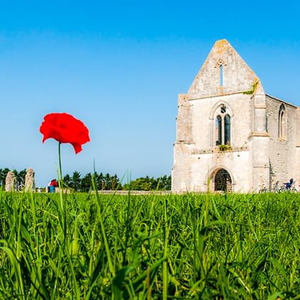 Einzelne rote Mohnblume in grünem Feld mit historischer Kirchenruine im Hintergrund unter blauem Himmel bei La Rochelle, Frankreich.