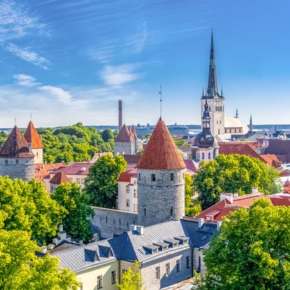 Luftaufnahme der Tallinner Altstadt mit roten Ziegeldächern, mittelalterlichen Steintürmen und dem Turm der Olaikirche. Grüne Bäume und blauer Himmel.