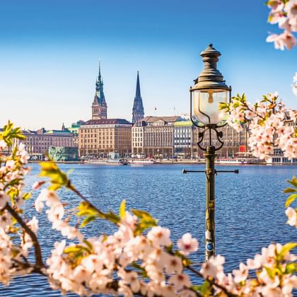 Blick auf die Hamburger Binnenalster mit rosa Kirschblüten und historischer Laterne. Stadtsilhouette mit Kirchtürmen über dem Wasser.