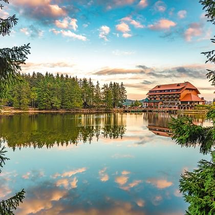 Ruhiger See im Naturpark Nord-Schwarzwald mit traditionellem Holzgebäude, das sich im stillen Wasser spiegelt, eingerahmt von Nadelbäumen.