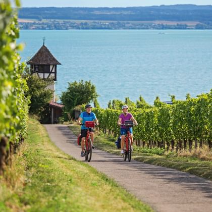 Two cyclists riding through vineyards near Meersburg with Lake Constance and a historic tower in the background under blue sky.