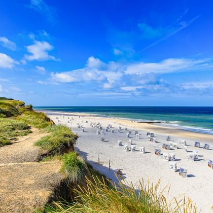 Breiter Sandstrand mit weißen Strandkörben an der Nordseeküste. Grüne Dünen im Vordergrund, türkisfarbenes Wasser und blauer Himmel.
