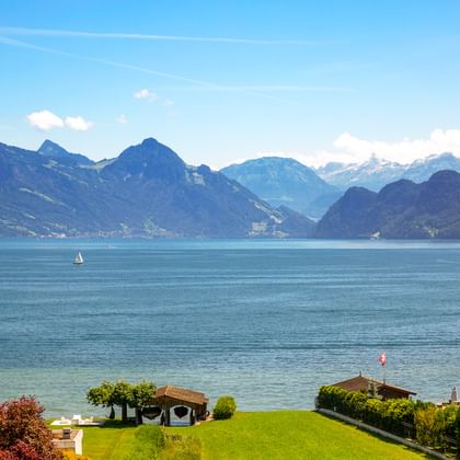 Vierwaldstättersee mit Segelbooten auf türkisfarbenem Wasser, umgeben von Bergen. Schweizer Flagge im Vordergrund mit grüner Wiese und Häusern am Ufer.