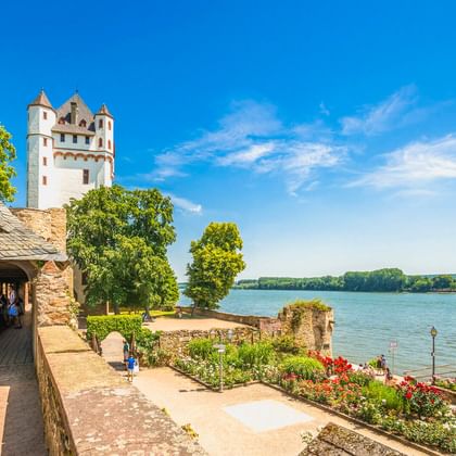 Eltviller Kurfürstliche Burg mit weißem Turm am Rheinufer. Überdachter Holzgang und bunte Blumengärten säumen die Uferpromenade.
