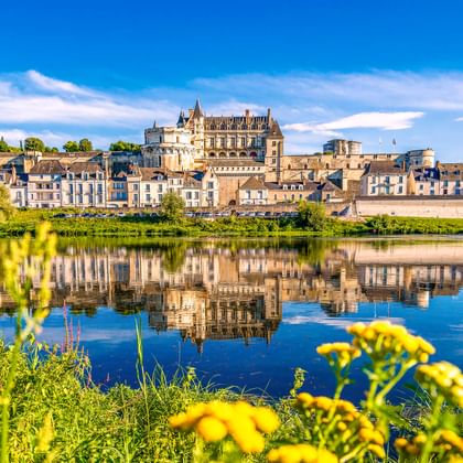Château d'Amboise und historische Stadt spiegeln sich in der Loire unter blauem Himmel. Gelbe Wildblumen rahmen die Ansicht im Vordergrund.