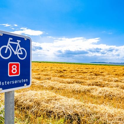 Blaues Radwegschild mit Nummer 8 und Østersøruten neben einem goldenen abgeernteten Feld mit Meerblick unter blauem Himmel auf Fünen, Dänemark.