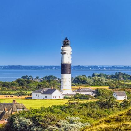 Weißer Leuchtturm mit schwarzem Band in Kampen, Sylt, umgeben von grünen Wiesen und reetgedeckten Häusern mit dem Meer im Hintergrund.