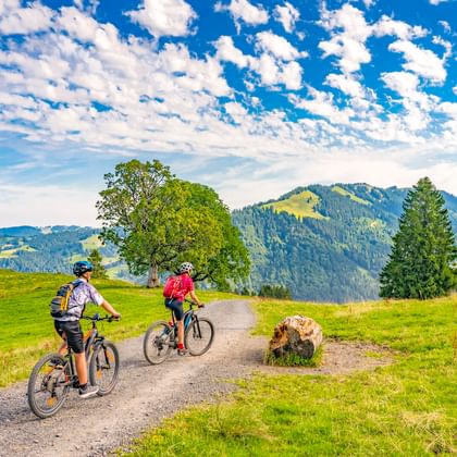 Zwei Radfahrer auf einem Schotterweg durch grüne Wiesen bei Oberstaufen im Allgäu, mit bewaldeten Bergen und blauem Himmel.