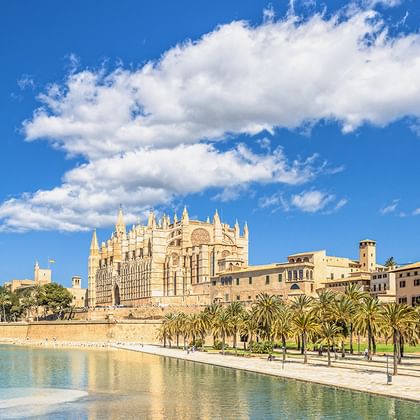 Kathedrale von Palma auf Mallorca mit gotischer Architektur neben einem Wasserbecken, gesäumt von Palmen unter blauem Himmel mit weißen Wolken.