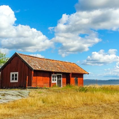 Traditionelle rote Holzscheune mit weißen Fenstern in goldenem Feld an der Ostsee unter blauem Himmel mit weißen Wolken in Skandinavien.