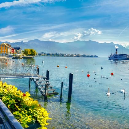 Seepromenade in Vevey mit Bänken, Blumen und Schwänen auf dem Genfer See. Berge und ein Raddampfer im Hintergrund sichtbar.