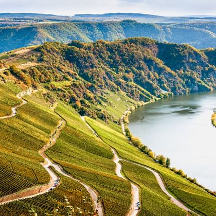 Luftaufnahme terrassierter Weinberge in Piesport entlang einer Moselschleife, umgeben von bewaldeten Hügeln unter bewölktem Himmel.