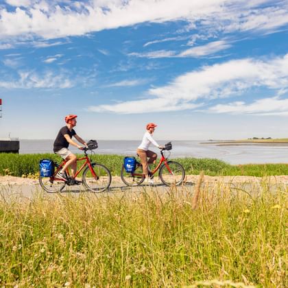 Zwei Radfahrer mit roten Helmen und blauen Taschen fahren am Uferweg in Brunsbüttel. Rot-weißer Leuchtturm und Elbe unter blauem Himmel sichtbar.