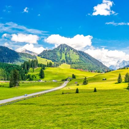 Road winding through green meadows with scattered trees and farmhouses in Imst, Tirol. Mountains and forests under blue sky with white clouds.
