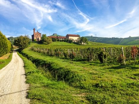 Schotterweg durch grüne Weinberge zu einer Backsteinkirche mit Glockenturm auf einem Hügel im Piemont, Ivrea. Hügelige Landschaft unter blauem Himmel.