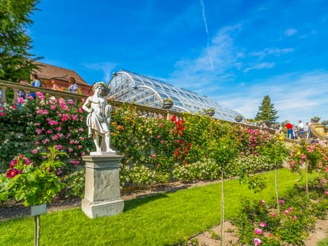 White marble statue on pedestal in rose garden on Mainau Island. Glass greenhouse and colorful roses visible under blue sky.