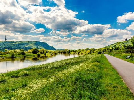 Asphaltierter Radweg entlang der Weser mit grünen Wiesen, ruhigem Wasser und Hügeln unter blauem Himmel mit weißen Wolken.