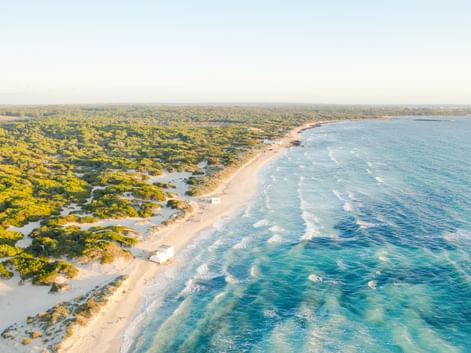 Luftaufnahme des Strandes Es Trenc mit weißem Sand, türkisfarbenem Mittelmeer und grüner Küstenvegetation entlang der Küste.