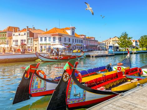 Traditionelle Moliceiro-Boote mit bunten Verzierungen im Kanal von Aveiro. Historische Gebäude mit orangen Dächern säumen das Ufer unter blauem Himmel.
