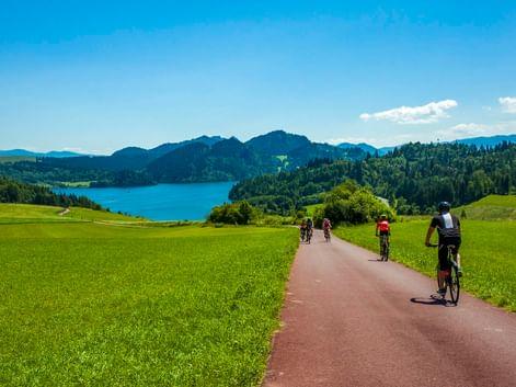 Vier Radfahrer auf einem asphaltierten Weg durch grüne Wiesen mit Czorsztyn-See und bewaldeten Bergen im Hintergrund unter blauem Himmel.