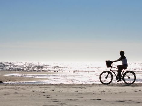 Silhouette eines Radfahrers mit Korb am Strand von Rømø. Die Nordsee glitzert im Hintergrund unter einem klaren blauen Himmel.