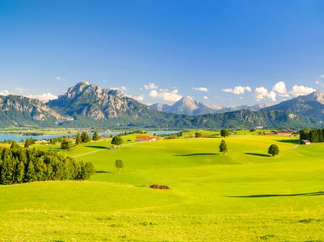 Panoramablick bei Füssen mit leuchtend grünen Wiesen, vereinzelten Bäumen und einer Bergkette unter blauem Himmel mit weißen Wolken.
